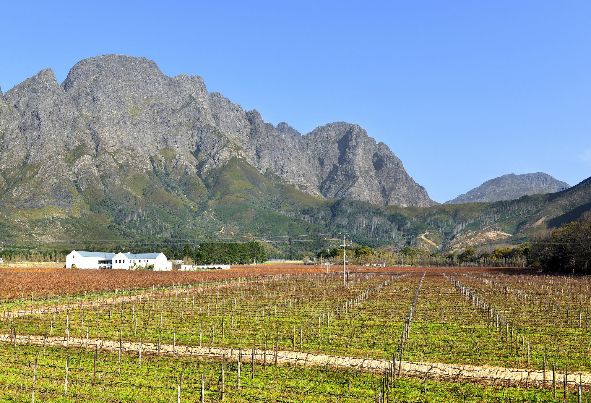Holden Manz Country House Franschhoek Eksteriør bilde